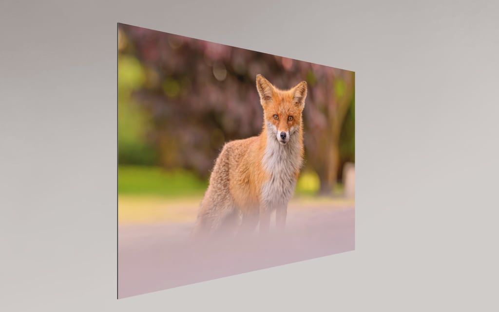 Tirage photo sur plaque aluminium sans cadre — exemple de rendu moderne