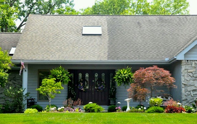 Is Gloeocapsa magma eating your roof? roof wash roof washing