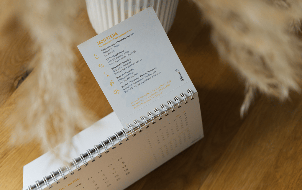 Tischkalender mit einer Pflegeanleitung für die Monstera-Pflanze und Infos zum Druckverfahren.