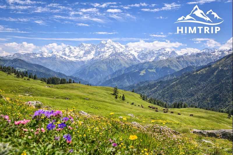 Dayara Bugyal Trek - Himtrip