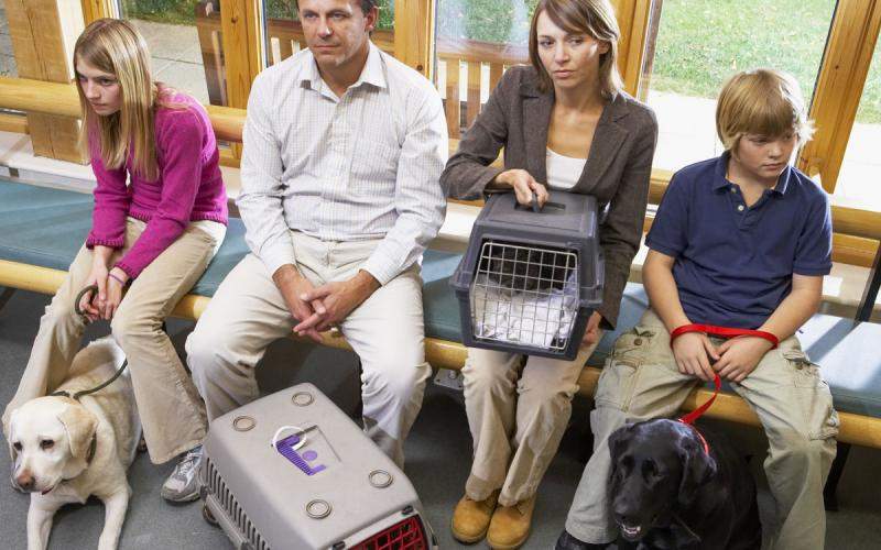 men and women with dogs