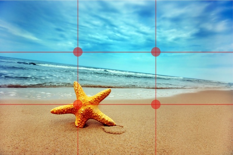 Nắm vững các quy tắc bố cục để có cách chụp ảnh đẹp chuyên nghiệp