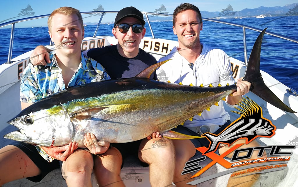 three men sitting on a boat with a big fish