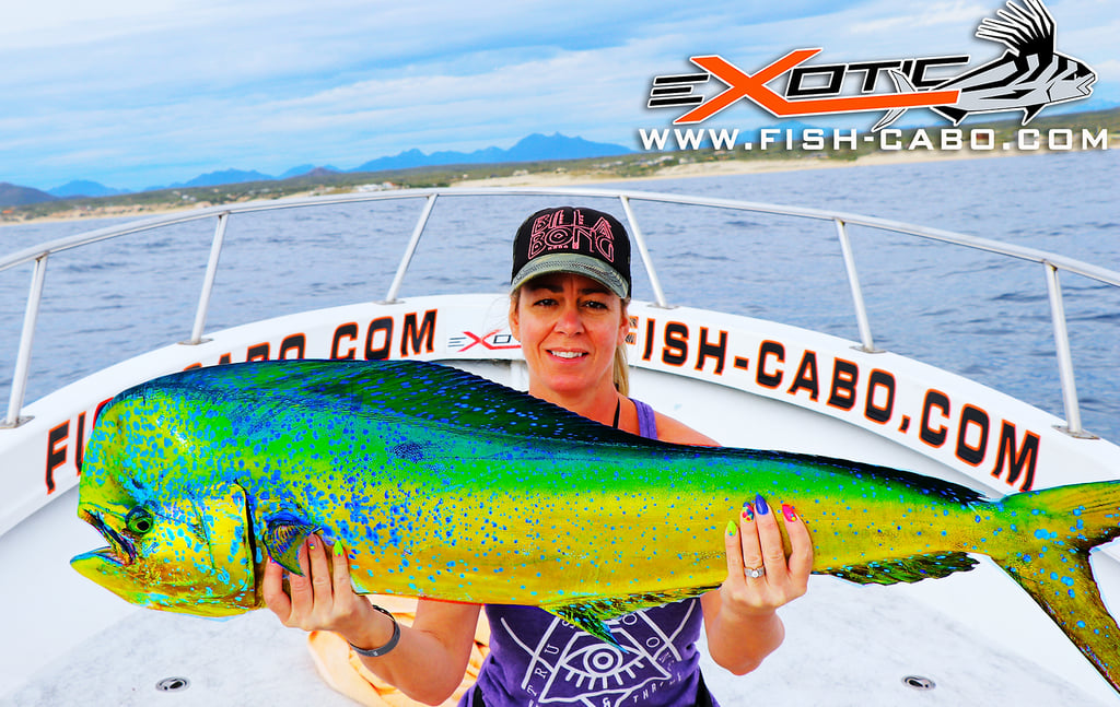 a woman holding a fish fish on a boat