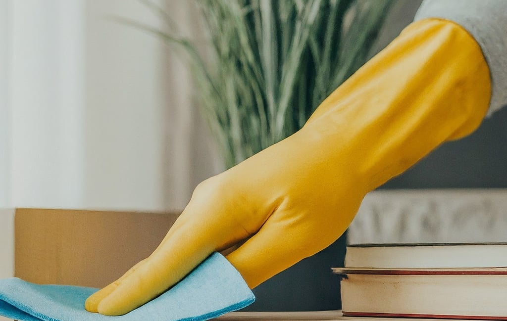 Cleaning Services