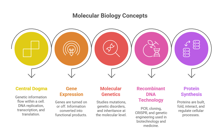 Molecular biology-key concepts