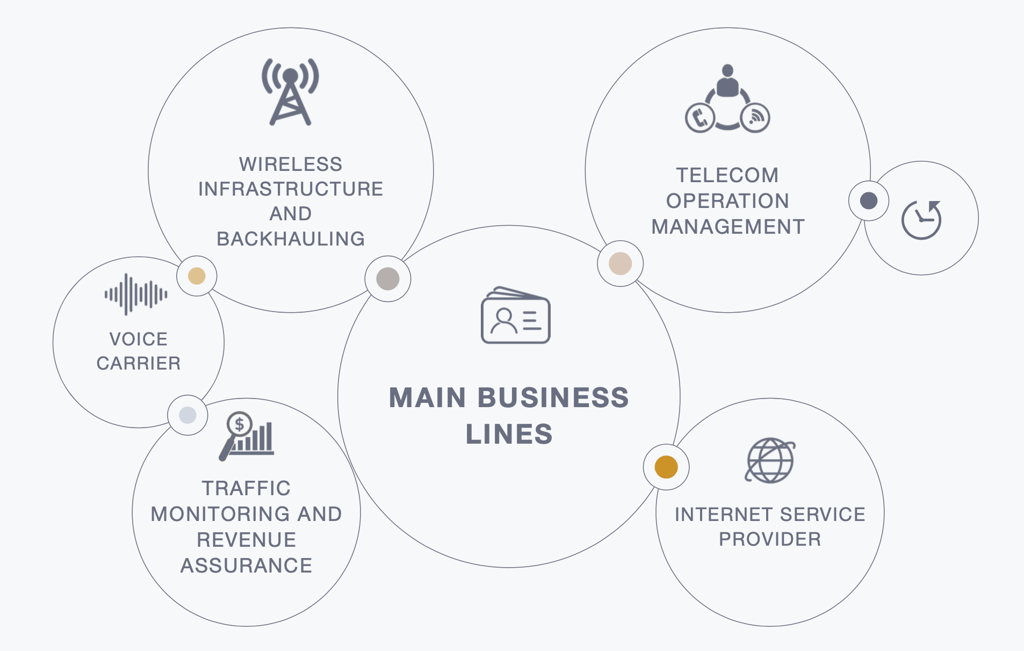 CCI Main Business Lines