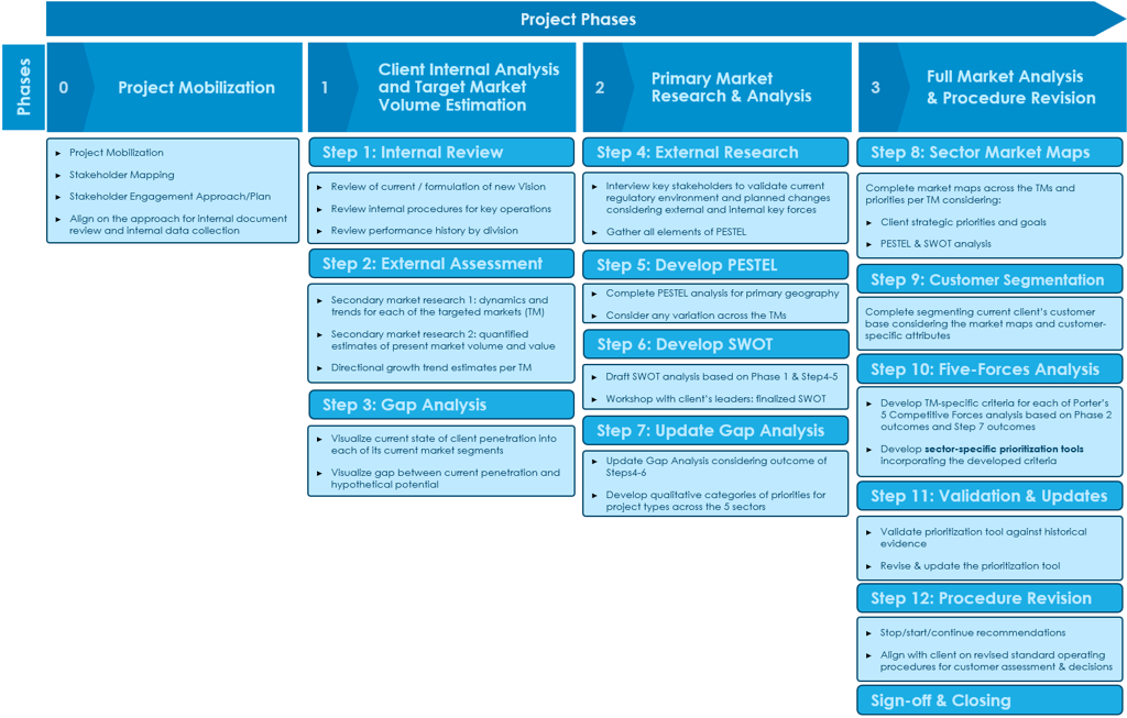 Sample strategy review project plan
