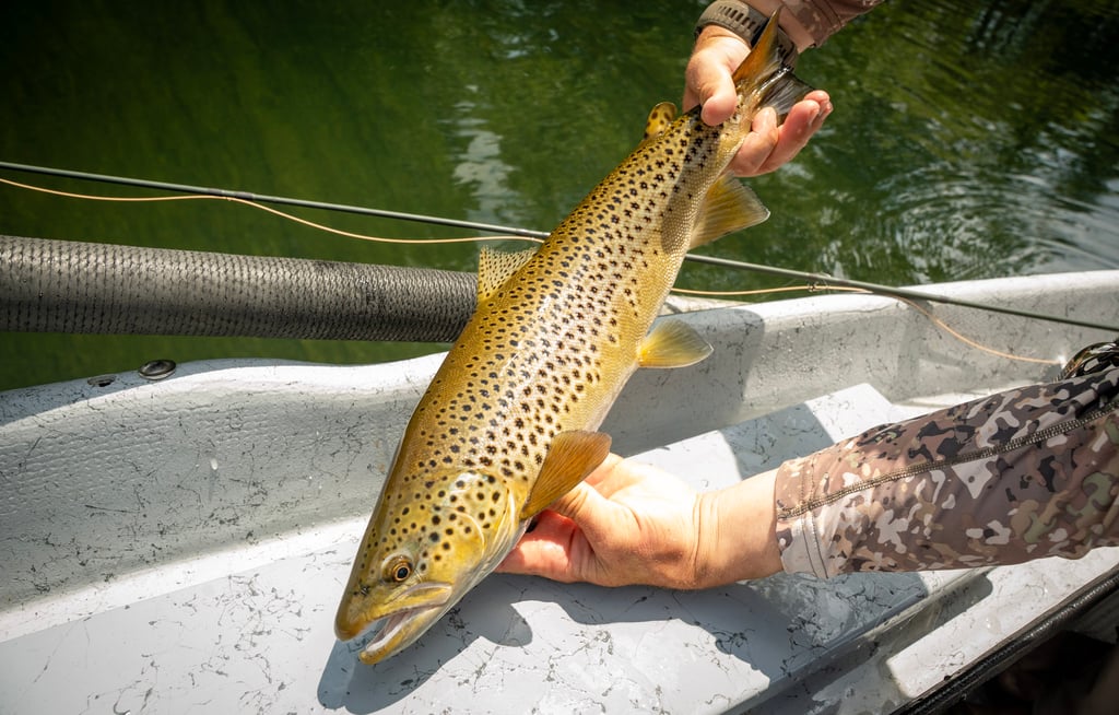 July 2025 Fly Fishing Report