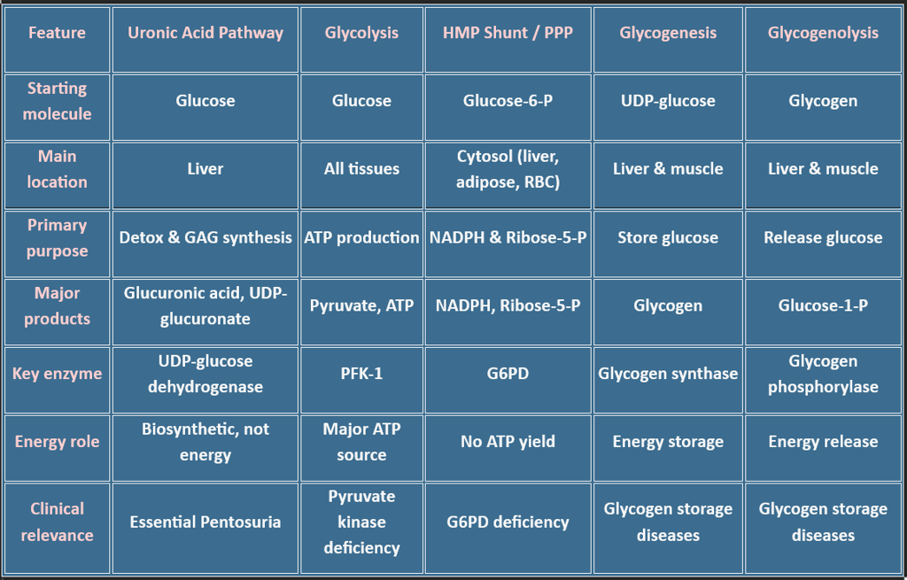uronic acid pathway-comparative table
