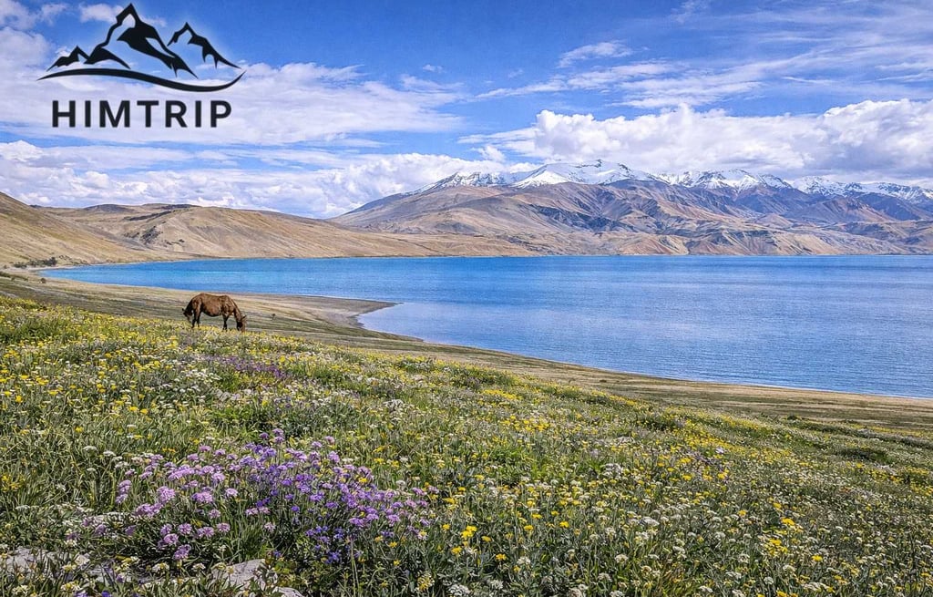 Tso Moriri Changthang Trek - Himtrip
