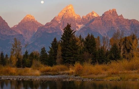 The Patience of Habakkuk 
