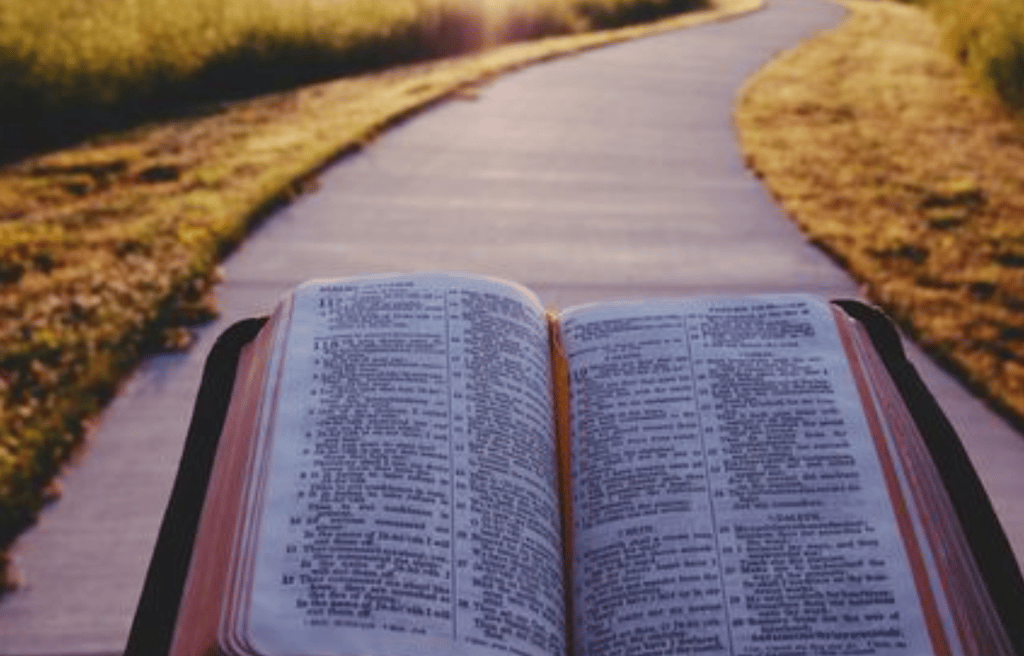 Overcoming the Comparison Trap: Finding Contentment in Christ