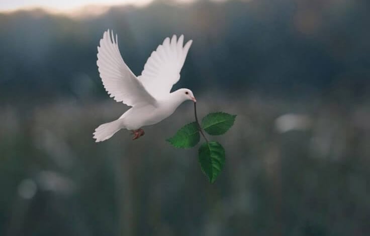 5 Prayers for Peace in the World