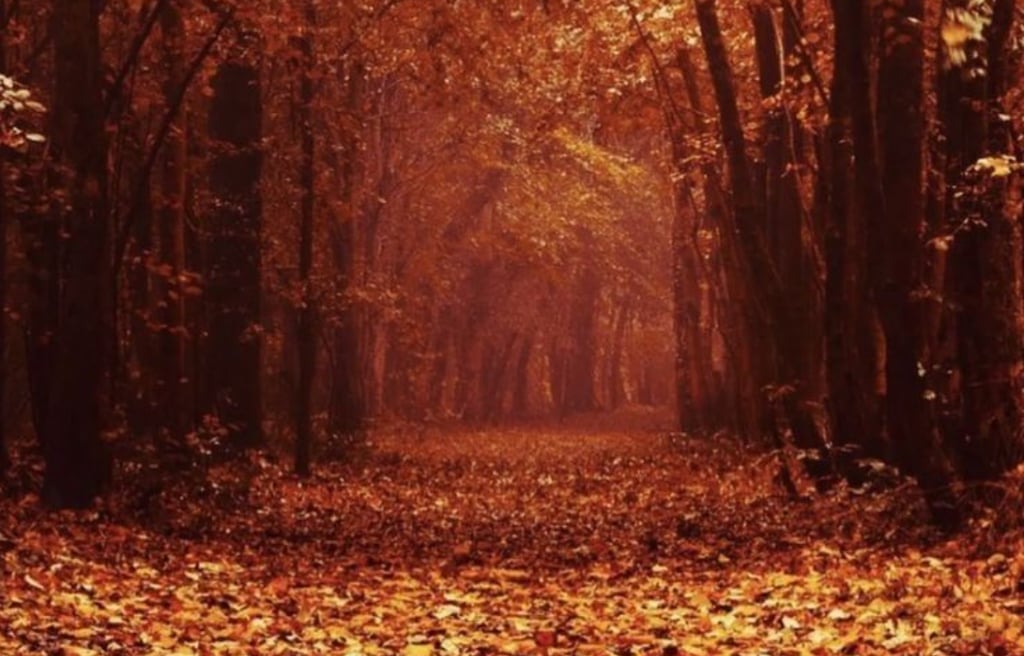 2. Reflect on Change and Renewal