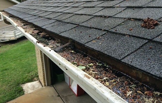 Roof wash house washing Risks of Not Keeping Up With Property Maintenance