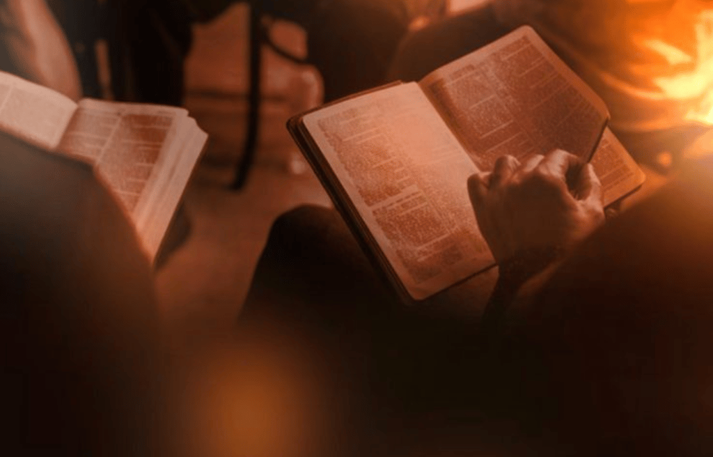 The New Testament Perspective
