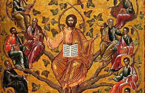 Abiding in the Vine (John 15:1)