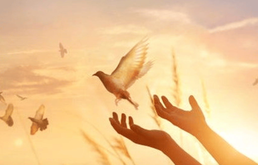 What happens when we pray but don't receive an answer?