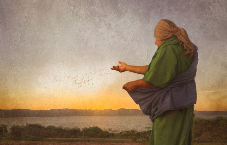 Sowing in Hope - Galatians 6:9