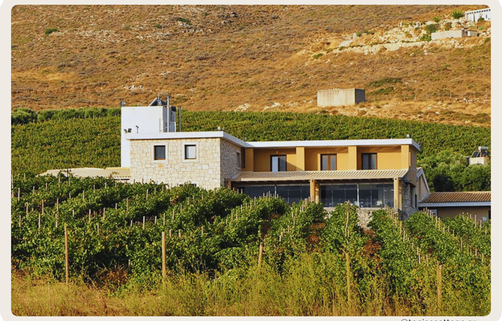 View of Domaine Paterianakis, with its stone building and surrounding vineyards