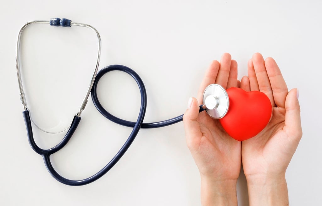 a person holding a red heart in their hands