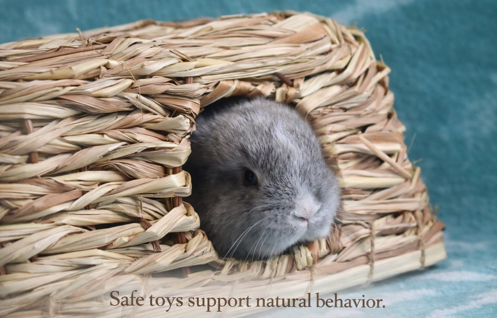 A Hot Cross Bun peeing out of a bunny-safe tunnel dring play time