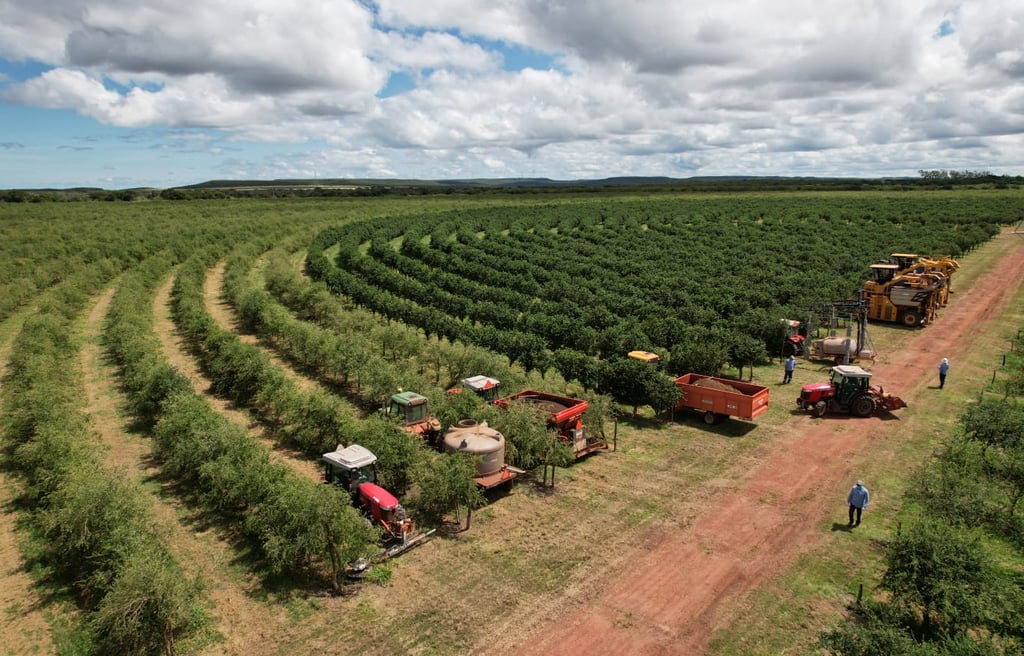 Ubajara farm, Brazil