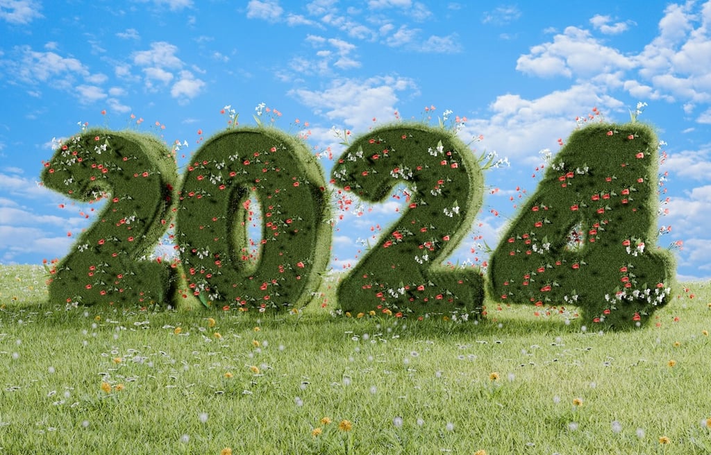 2024 as a green hedge in the fields, with plenty of butterflies.