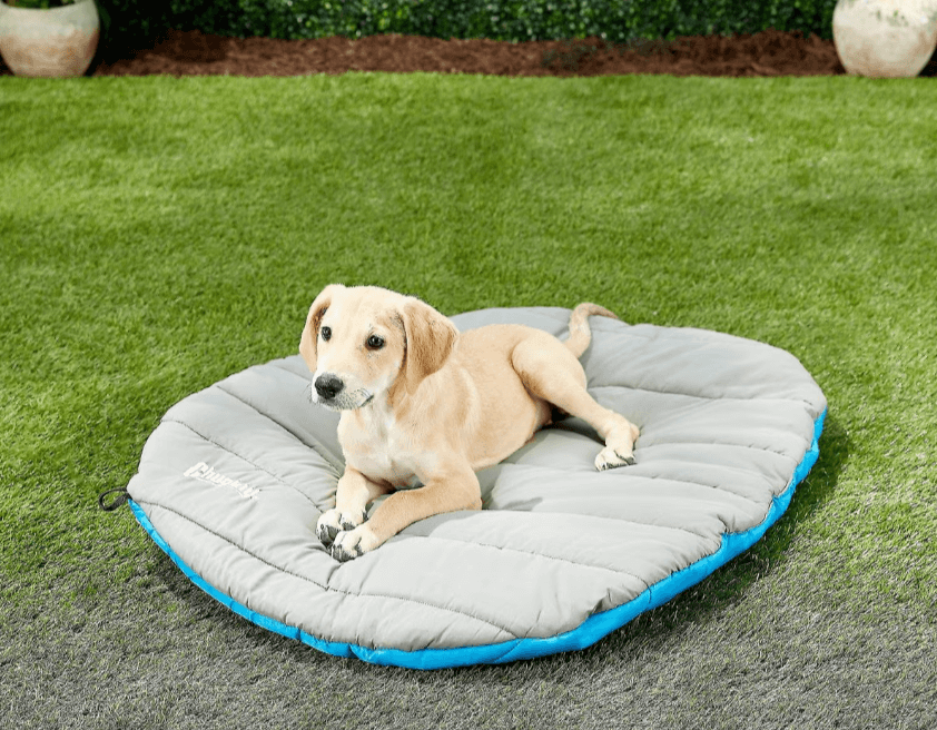 portable pet bed, a comfortable essential for pet friendly cabin rentals and camping