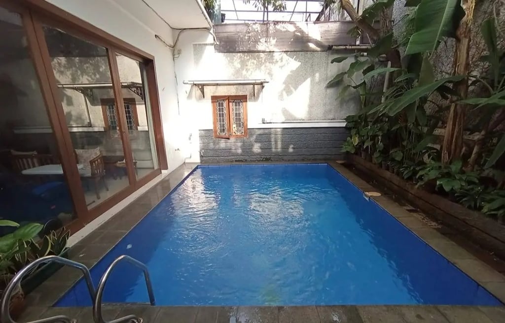 kolam renang minimalis ramah lingkungan di halaman belakang