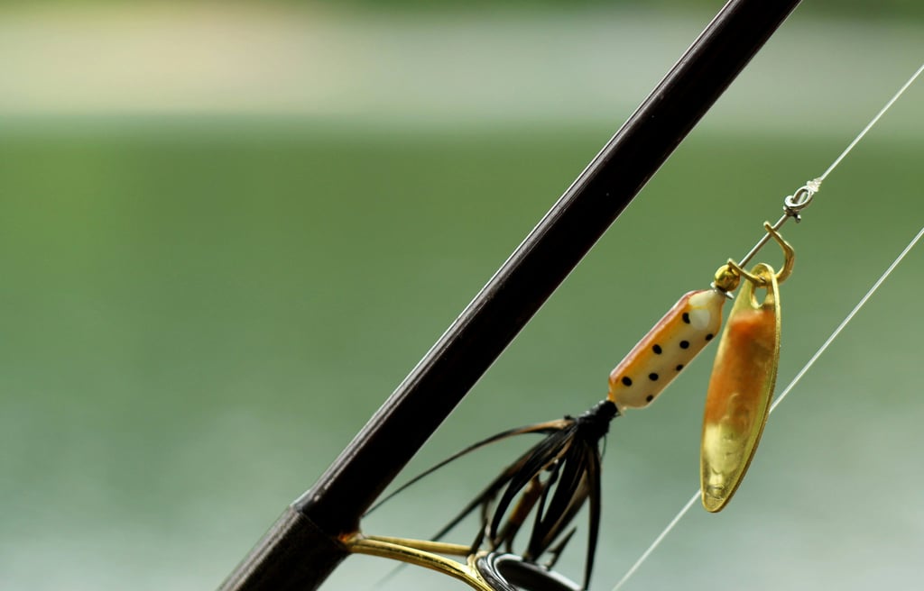 trout fishing spinner hanging from rod