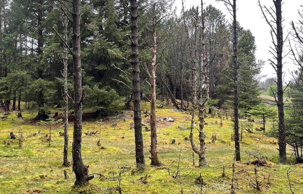 Skjold, Øygarden