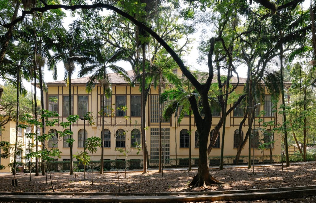 Parque da Água Branca, um espaço verde emblemático de São Paulo, proporcionando um diálogo.