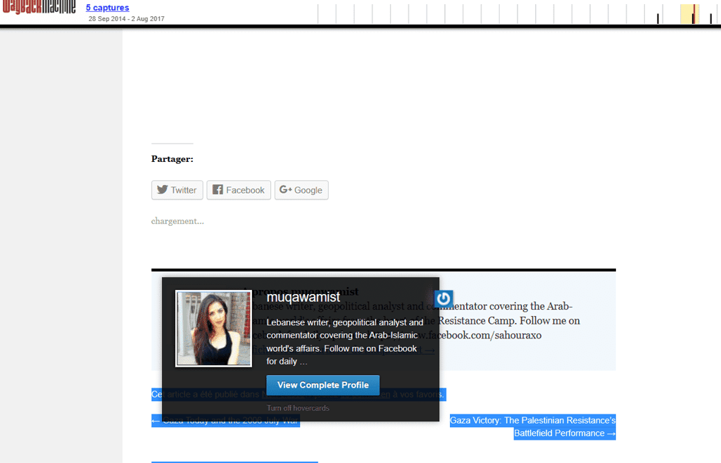 Hezbollah sarah abdallah @sahouraxo gravatar wordpress