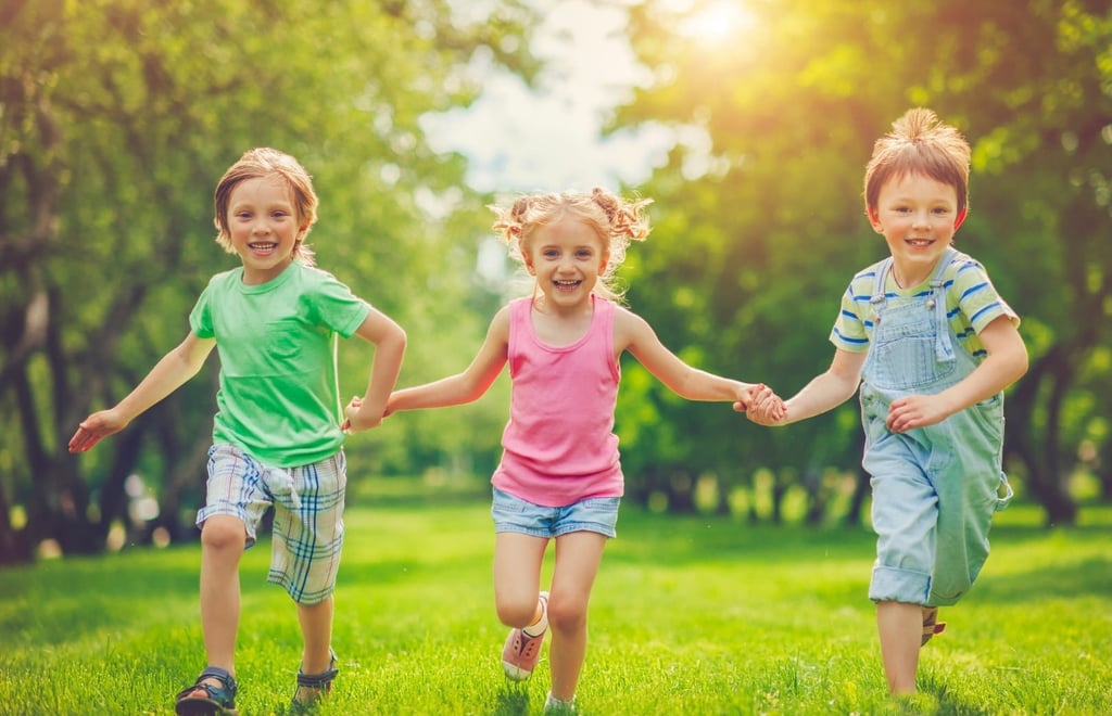 Razvoj družbenih kompetenc v gozdnem vrtcu