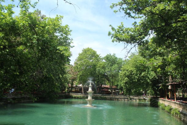 Ayn Zeliha Gölü