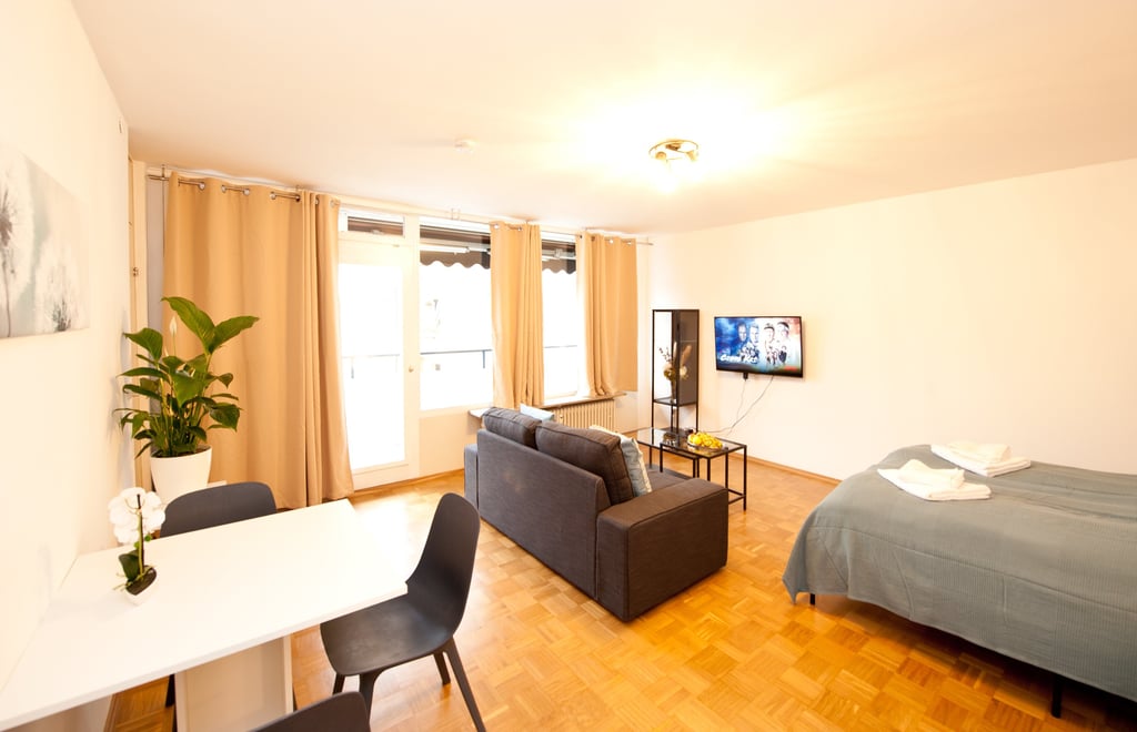 germütlicher Wohn- und Schlafbereich in der Studio Wohnung im Zentrum Bayreuth nahe Oper