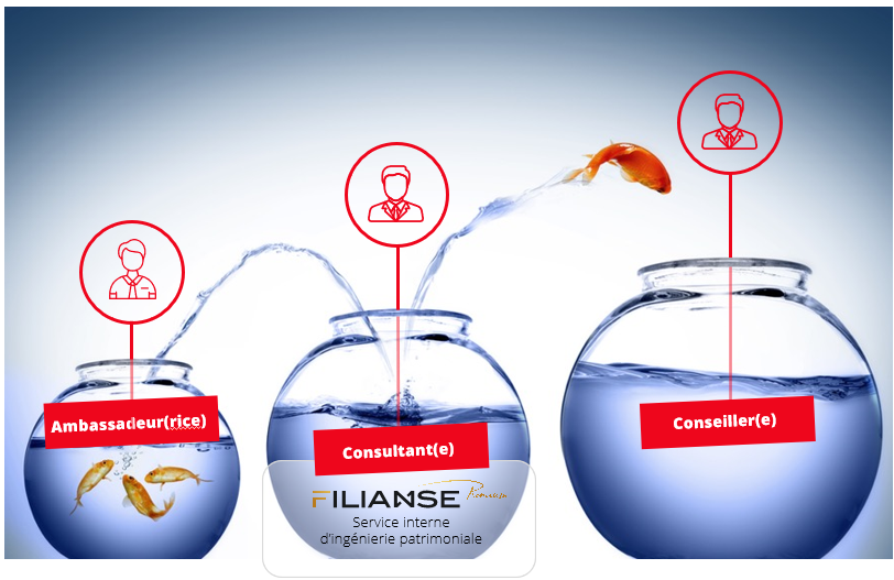 progression dans les statuts chez Inovéa