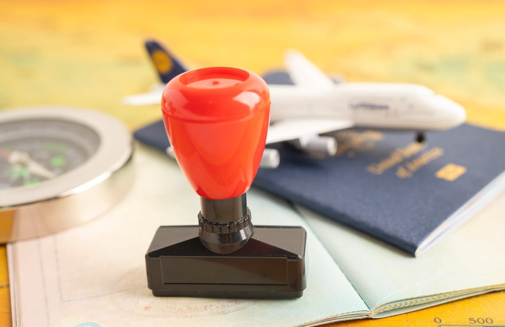 Approved Stamp visa and passport document