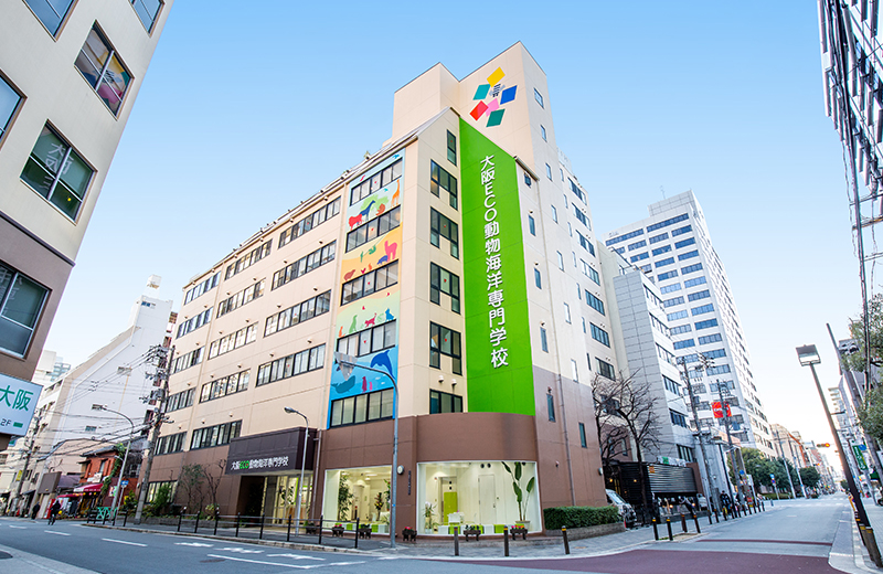 Osaka College of Eco & Animals - Vet Tech & Dog Trainer - Senmon Gakko