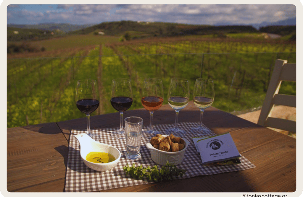 Paterianakis Winery in Crete - wine tasting with lunch, accompanied by stunning vineyard views