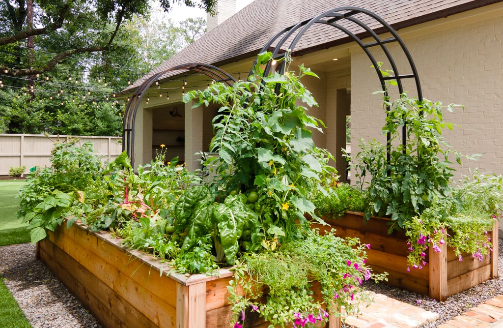 Custom Raised Bed Kitchen Garden Installation with Healthy Herbs & Vegetables