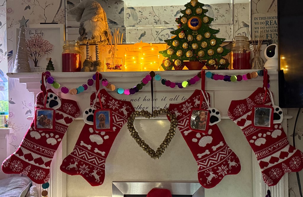 Festive dog stockings hung on a festive fireplace, waiting for Santa paws to fill them on Christmas Eve
