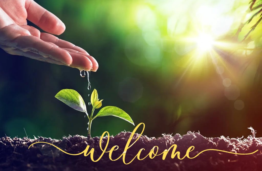 Hand watering a small green plant sprout in soil with sunlight and a yellow welcome script overlay.