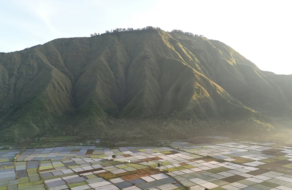 majestic sembalun Lombok, Indonesia
