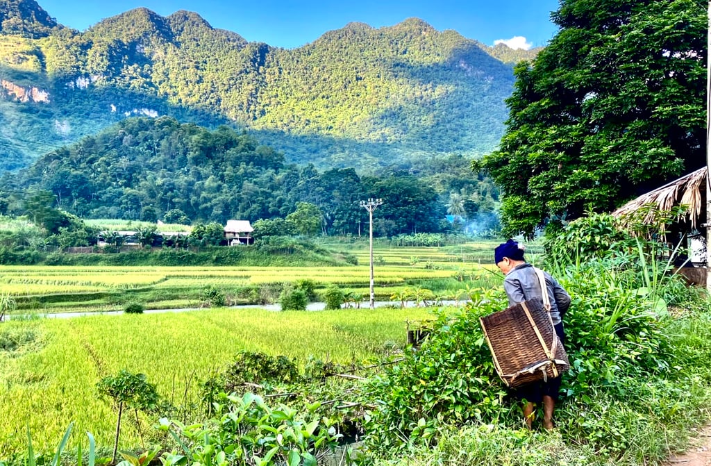 Vietnam people