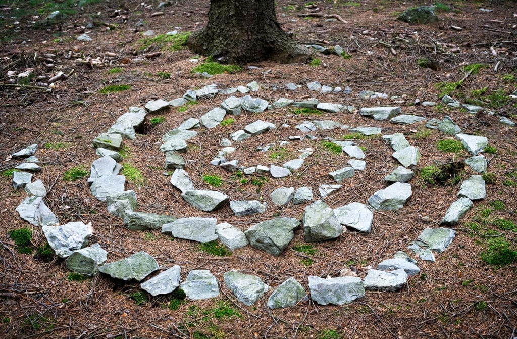Zdgodovina in razvoj gozdne pedagogike