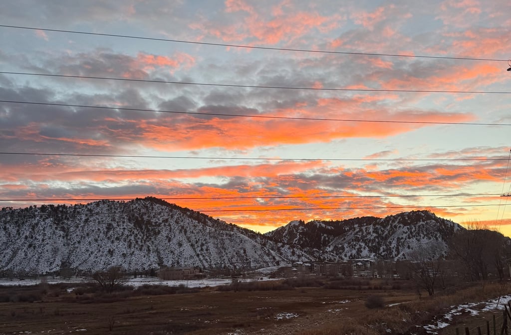 a bird flying over a fenced in area with a fence