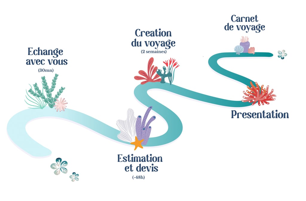 Comment ça marche ?